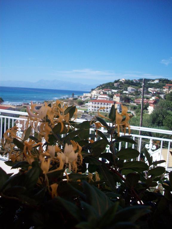 Moros * Agios Stefanos Avliotes (Corfu)